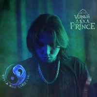 V $ X V PRiNCE - Точка или запятая