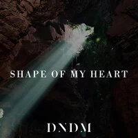 DNDM - Shape of My Heart ‍