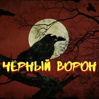 Hans Gang, Babkinvnuk, ALEX PYACHE, ViT - Чёрный ворон