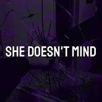 dsippy - She Doesn't Mind