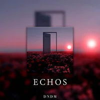 DNDM - Echos