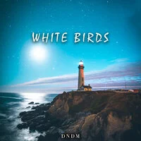 DNDM - White Birds