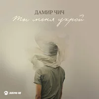 Дамир Чич - Ты меня укрой