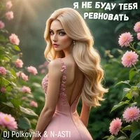 DJ Polkovnik, N ASTI - Я не буду тебя ревновать