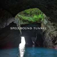 Alexander Demidov - Spellbound tunnel ‍