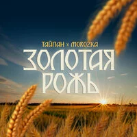 Тайпан, MorozKA - Золотая рожь