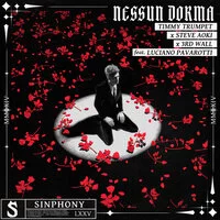 Timmy Trumpet, Steve Aoki, 3rd Wall, Luciano Pavarotti - Nessun Dorma